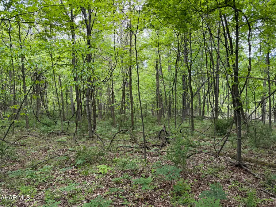 42ac Main Road, Bedford, PA 15522 - #2