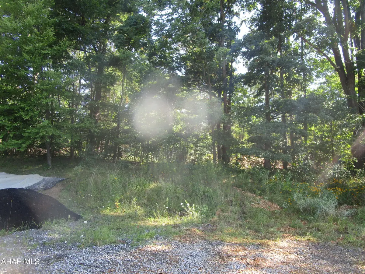 Off Clearfield Valley Boulevard, Dysart, PA 16636 - #1