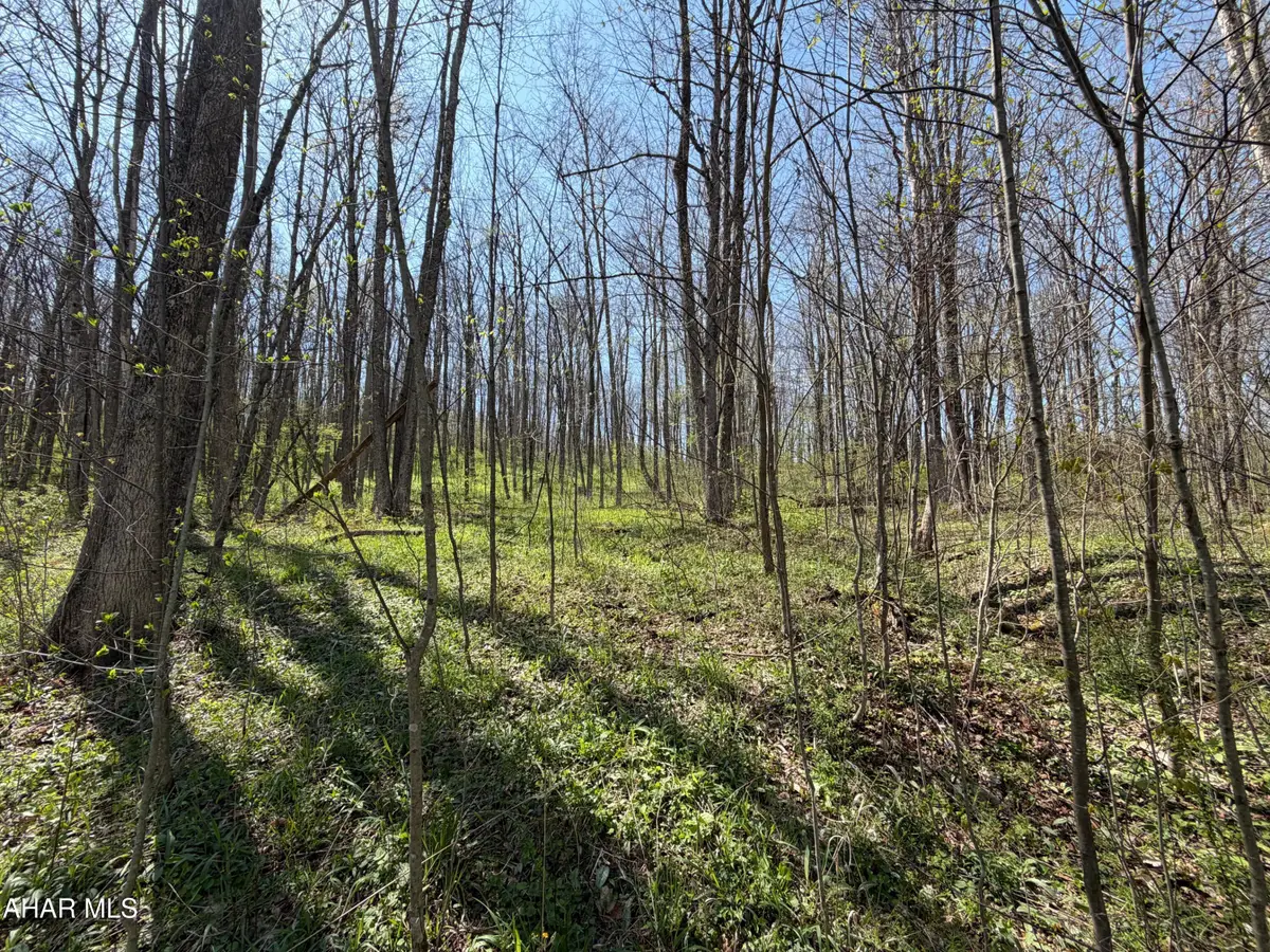 Adj. 216 Rock Cut Road, Central City, PA 15926 - #1