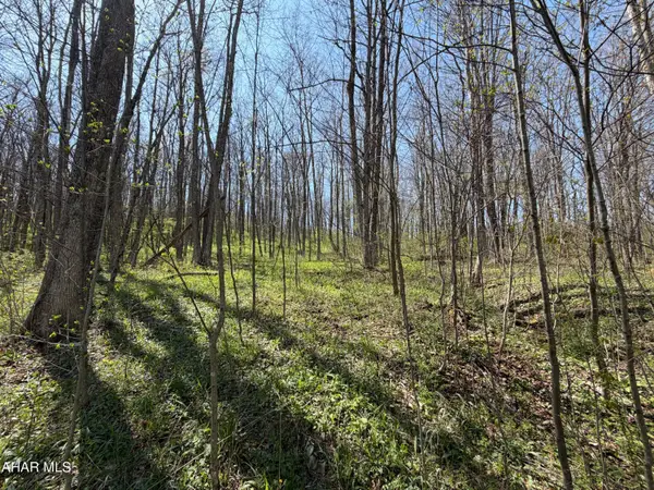 Adj. 216 Rock Cut Road, Central City, PA 15926