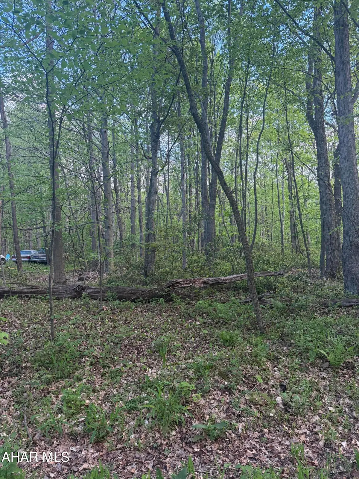 Lot 138 Ingot Road, Claysburg, PA 16625 - #1