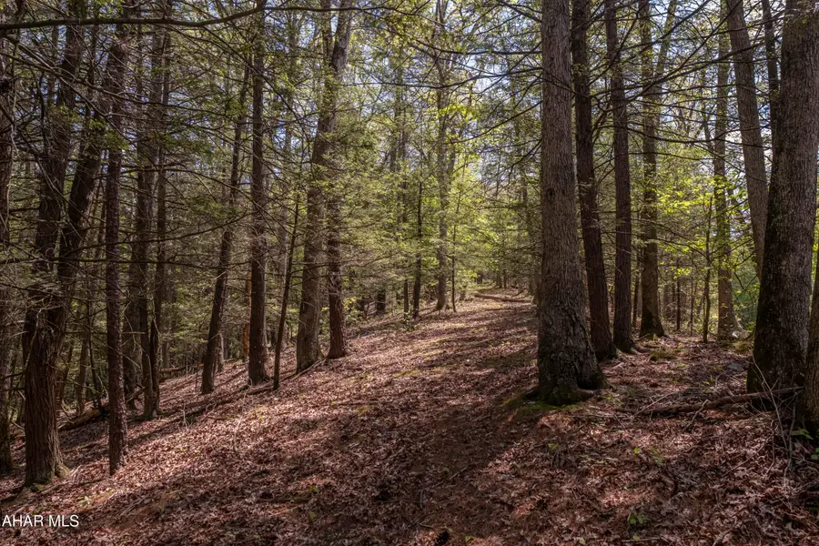 0 Henderson Overlook Road, Huntingdon, PA 16652 - #3