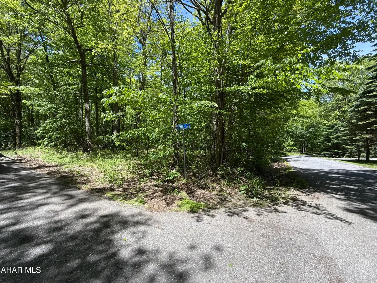 116 Timberman Road, Claysburg, PA 16625 - #1