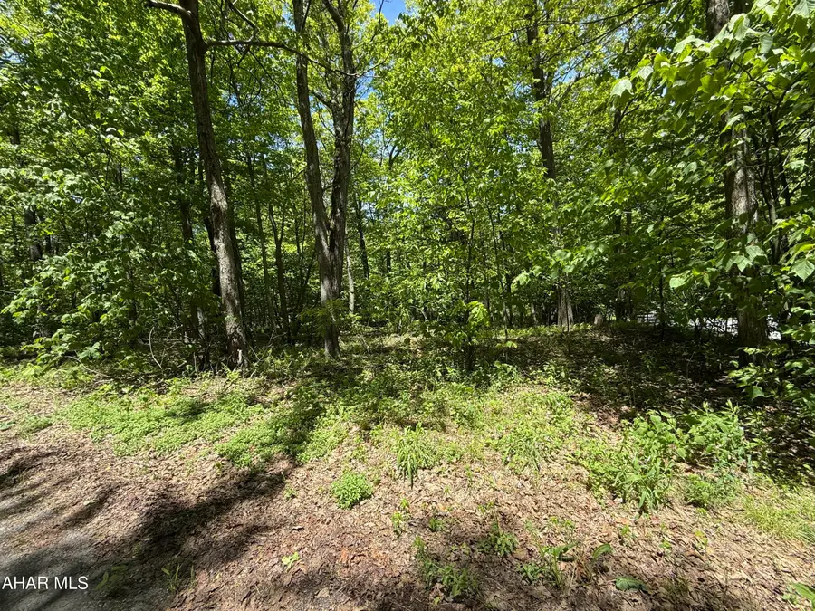 116 Timberman Road, Claysburg, PA 16625 - #3