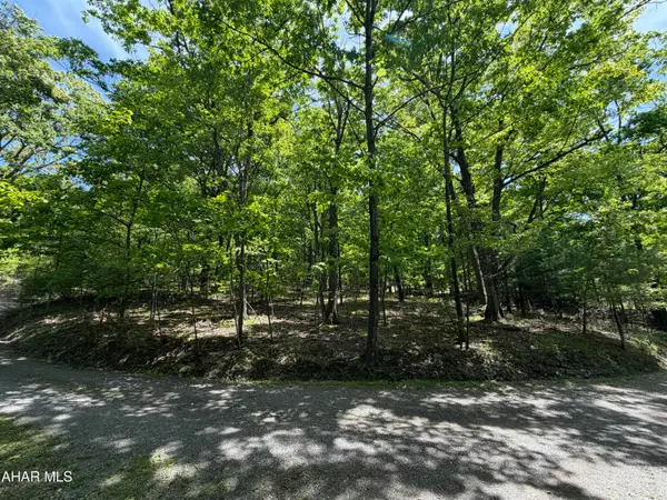 0 Alpine Lane, Altoona, PA 16601