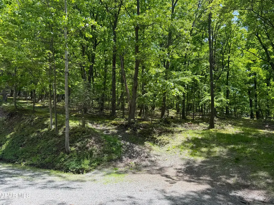 0 Alpine Lane, Altoona, PA 16601 - #3