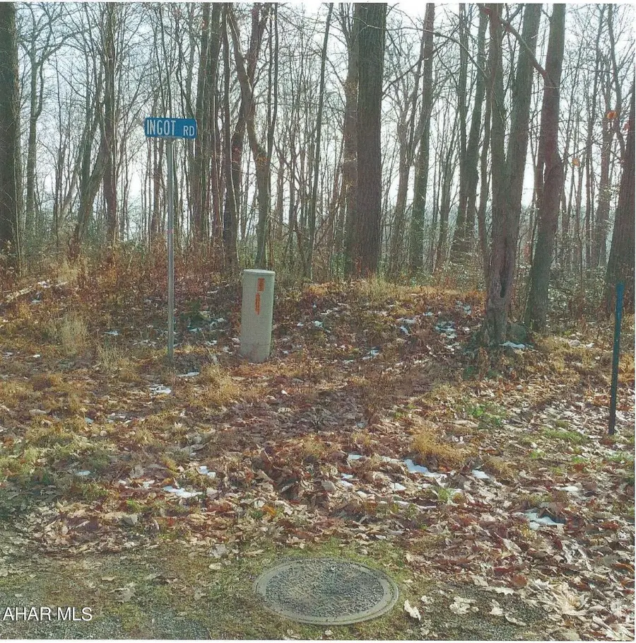 174 Ingot Road, Claysburg, PA 16625 - #3