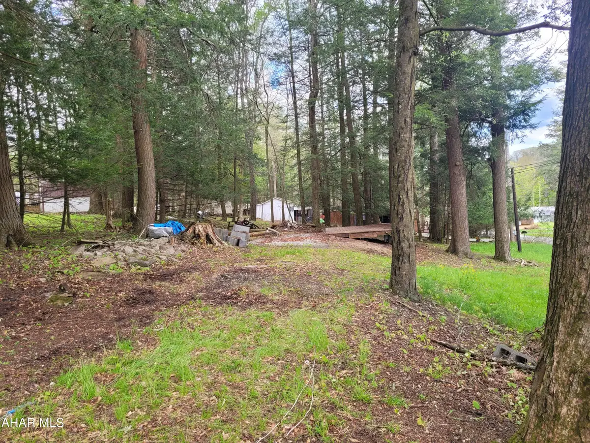 104 Hayes Circle, Flinton, PA 16640 - #1