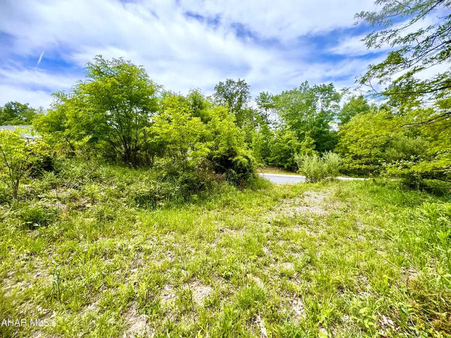 718 Brush Oaks Drive, Altoona, PA 16602 - #3