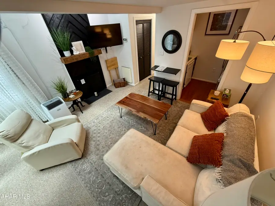 203 E Valley Point Lane #C1003, Claysburg, PA 16625 - #3