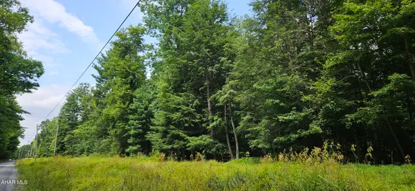 0 Trough Creek Drive, Todd, PA 16685