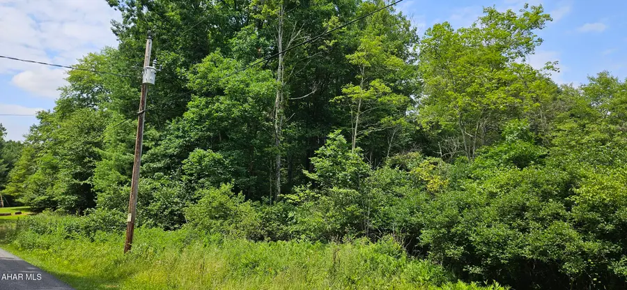 0 Trough Creek Drive, Todd, PA 16685 - #2