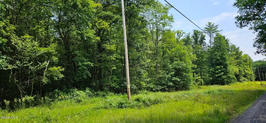 0 Trough Creek Drive, Todd, PA 16685 - #3