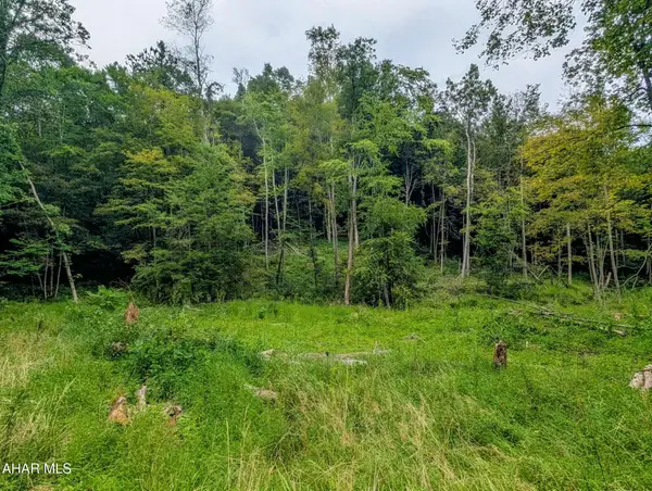 1069 Walters Hollow Road, Imler, PA 16655