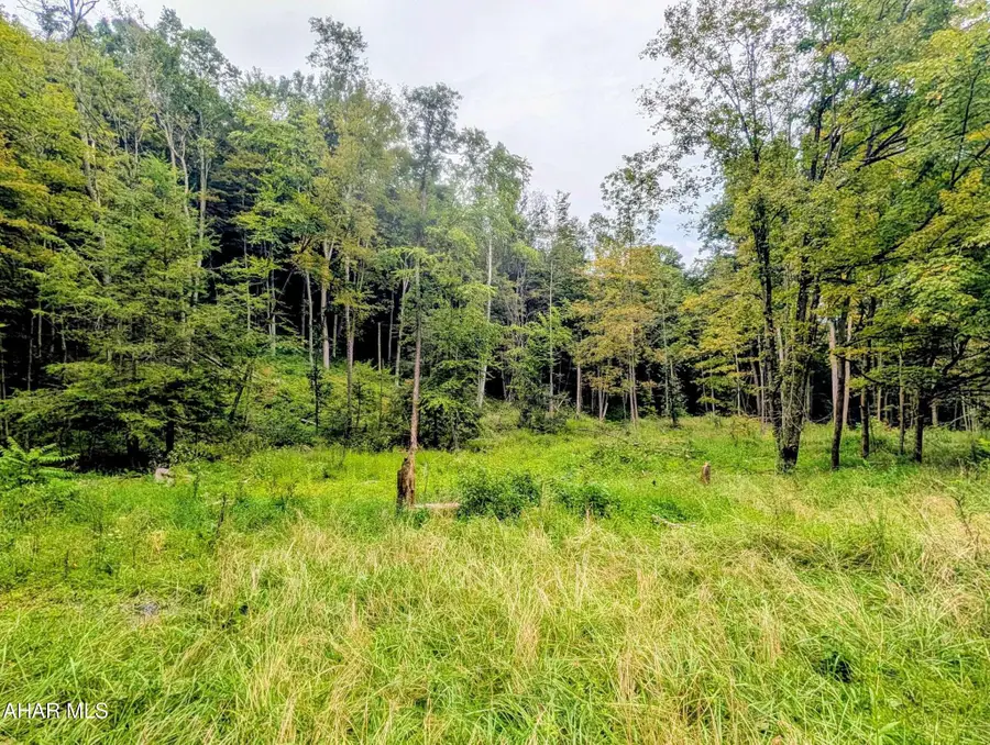 1069 Walters Hollow Road, Imler, PA 16655 - #2
