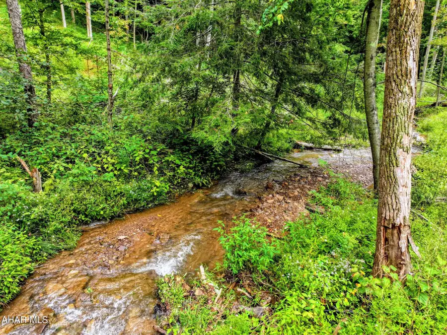 1069 Walters Hollow Road, Imler, PA 16655 - #3