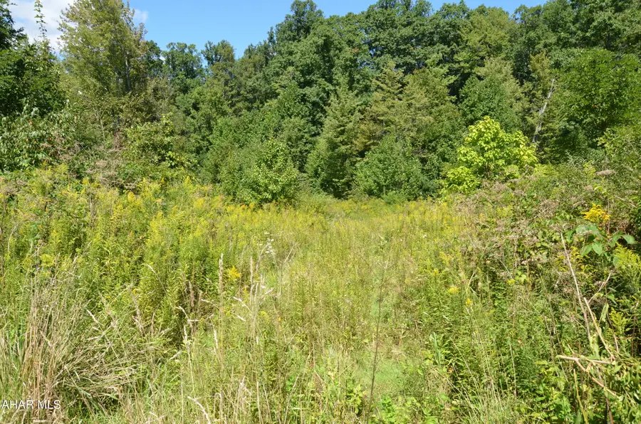 1620 Reightown Road, Tyrone, PA 16686 - #3
