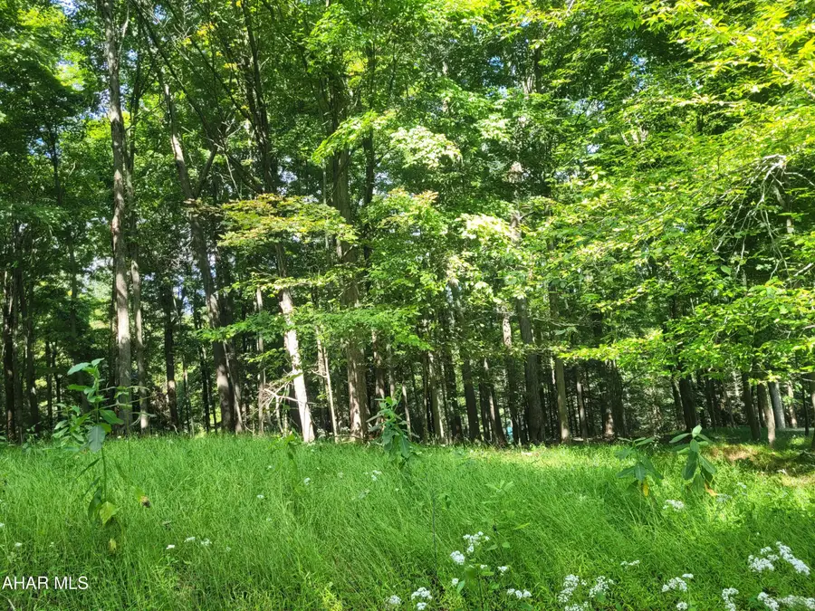 T178 Christopher Road, Flinton, PA 16640 - #2