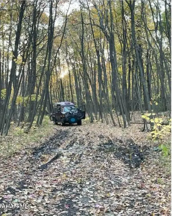 Lot 101 Furnace Way, Claysburg, PA 16625