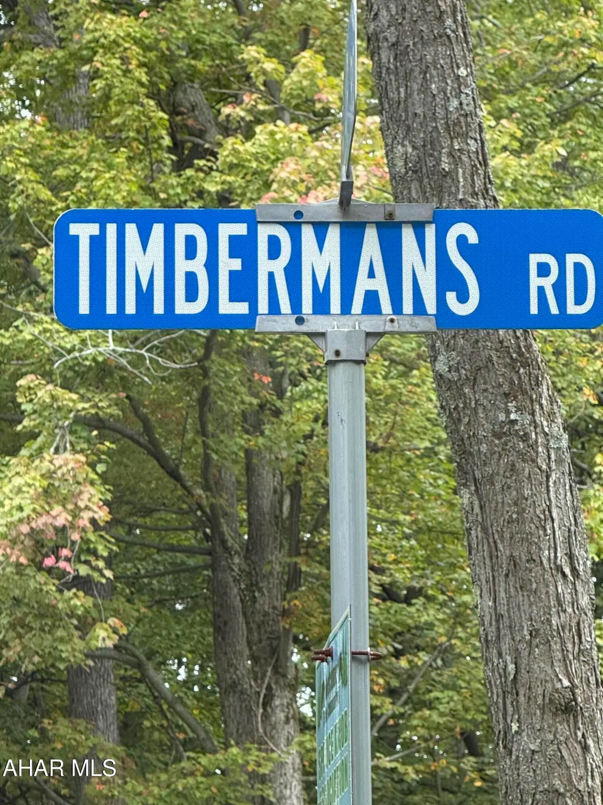 000 Off Timbermans Lot 4 Road, Claysburg, PA 16625 - #1