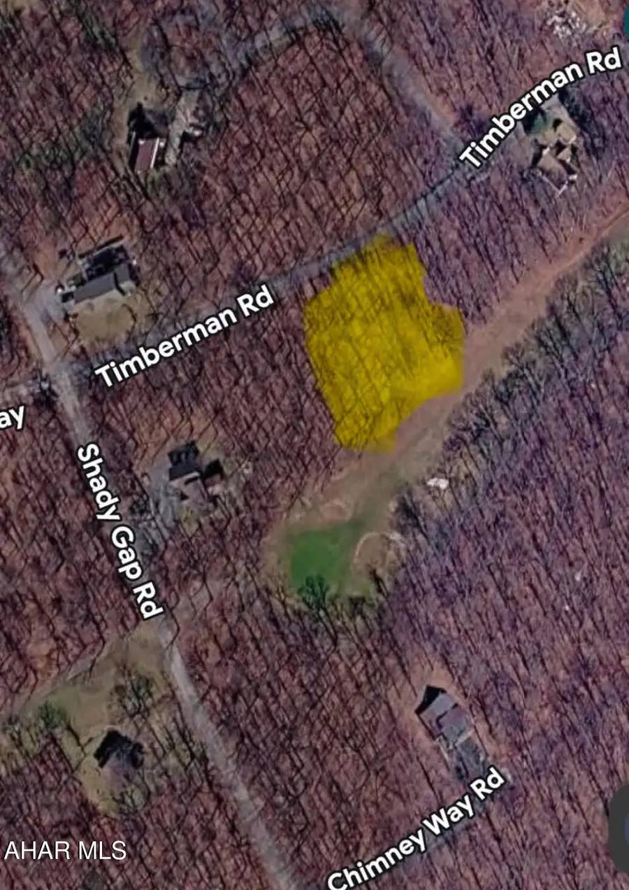 000 Off Timbermans Lot 4 Road, Claysburg, PA 16625 - #3
