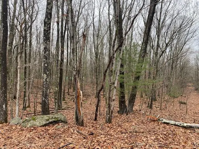 #2