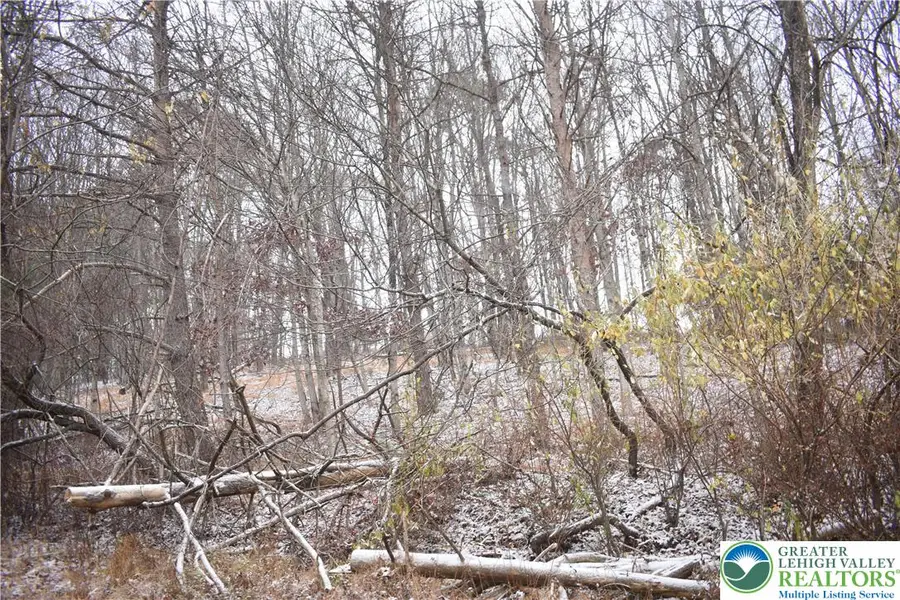 289 Chipperfield Drive, Chestnuthill Township, PA 18330 - Image #3