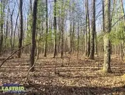 #3