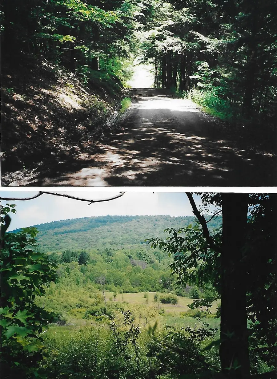 Pantherlick Road, Sugar Run, PA 18846 - #2