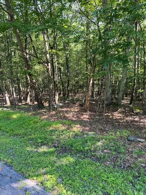 Pocono Forested Dr 22 Drive, East Stroudsburg, PA 18302 - #1
