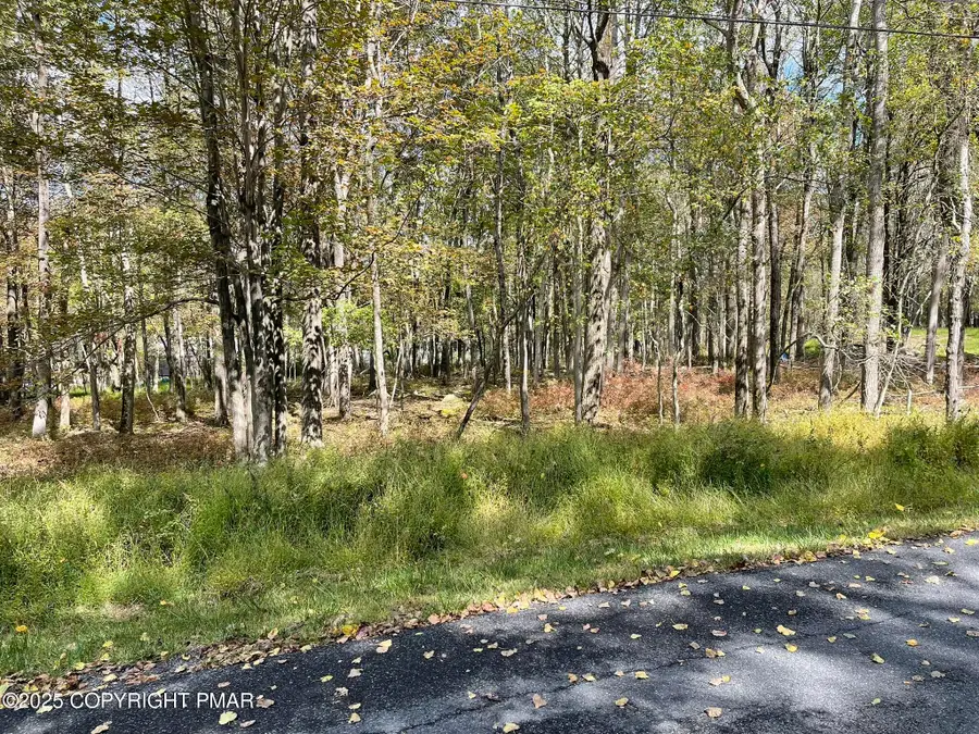 Lot 52 Blueberry Run, Blakeslee, PA 18610 - #3
