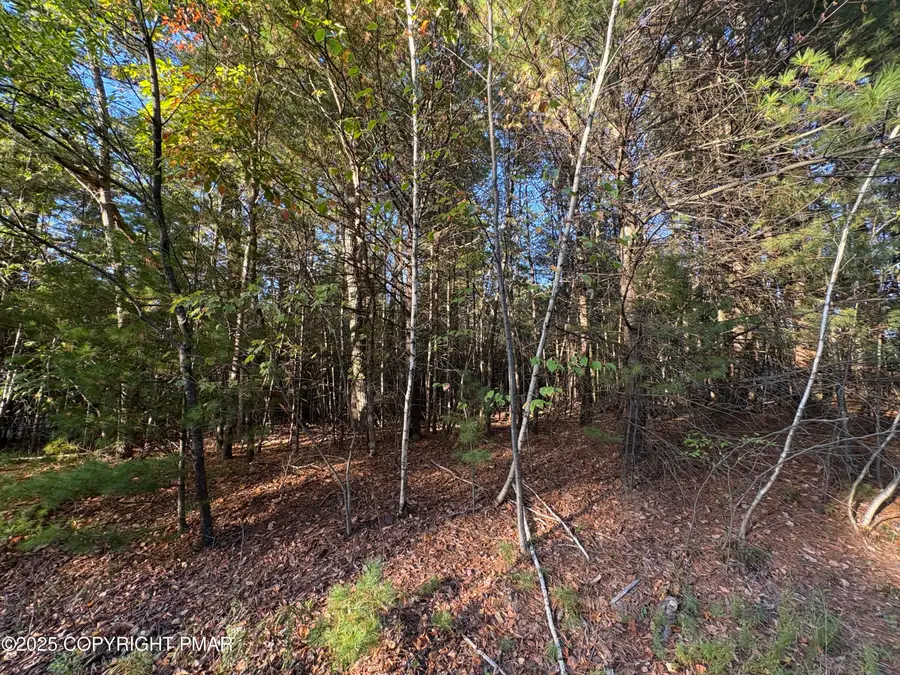 Lot 13 Pine Tree Lane, Kunkletown, PA 18058 - Image #3