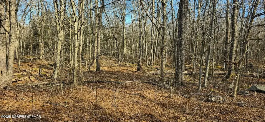 Lyman Lane, Clifton Township, PA 18424 - Image #3