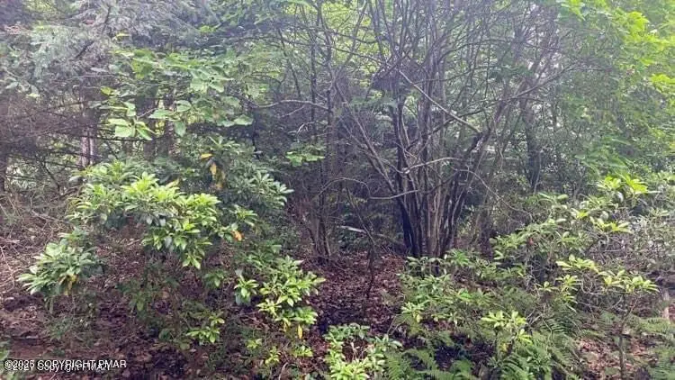 9 Sky Hawk Trail, Scotrun, PA 18355 - Image #1