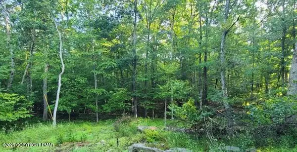 72 & 73 Chippewa Court, Hawley, PA 18428