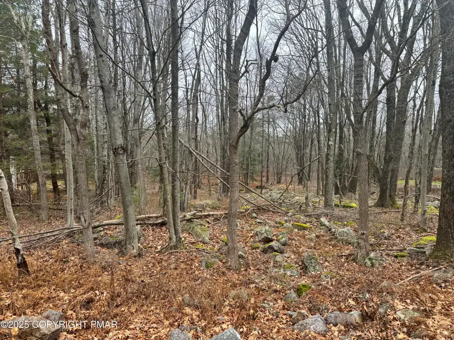 Crest View Dr 45 Aka Birch Drive, Blakeslee, PA 18610 - Image #2