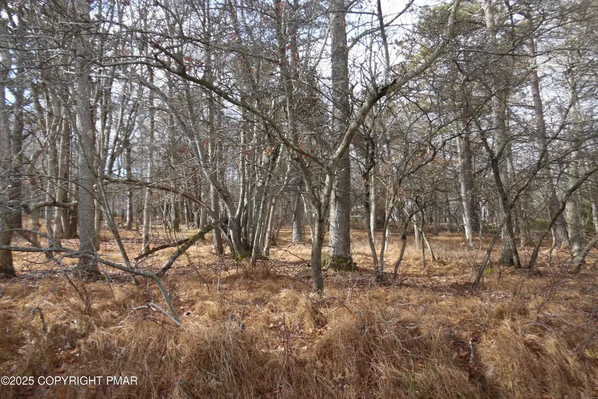 D1922 Old Stage Road, Albrightsville, PA 18210 - Image #1