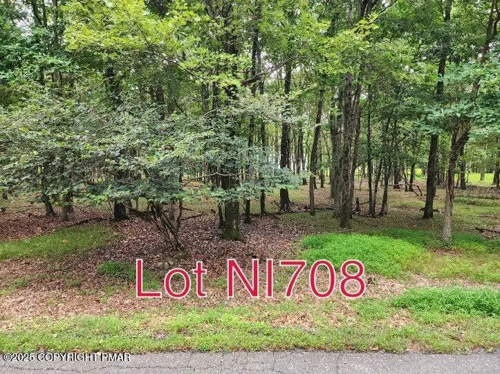 Lot NI708 Mohawk Trail, Albrightsville, PA 18210 - Image #1