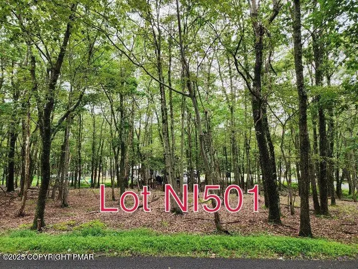 Lot NI501 Shawnee Trail & Highpoint Drive, Albrightsville, PA 18210 - Image #1