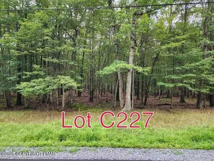 Lot C227 Twin Lake Road, Albrightsville, PA 18210 - Image #1