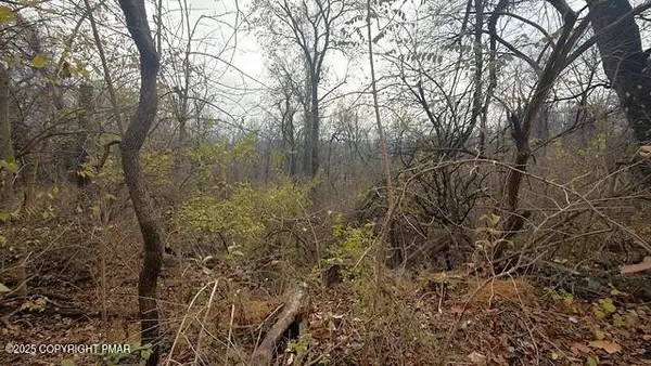 W Lafayette Street, Easton, PA 18042