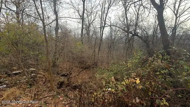 W Lafayette Street, Easton, PA 18042 - Image #2