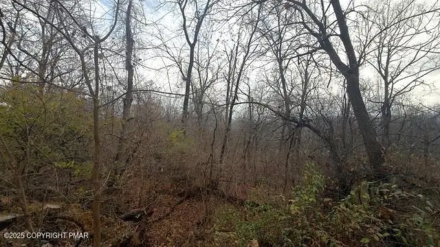 W Lafayette Street, Easton, PA 18042 - Image #3