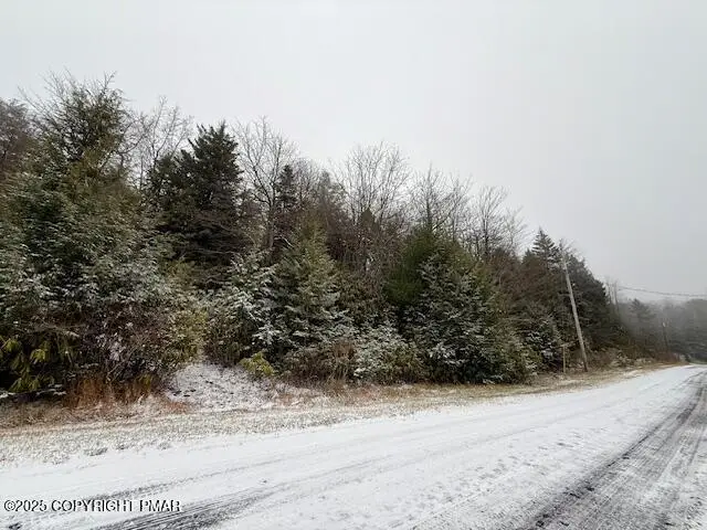 Lot 102 Minsi Trail W, Long Pond, PA 18334 - Image #1