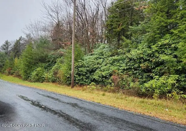 Lot 102 Minsi Trail W, Long Pond, PA 18334 - Image #3