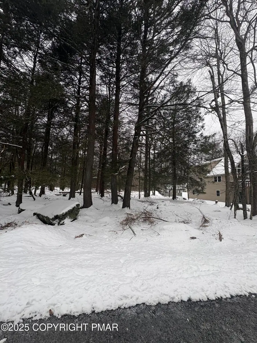 36 Old Silver Mine Trail, Gouldsboro, PA 18424 - Image #3