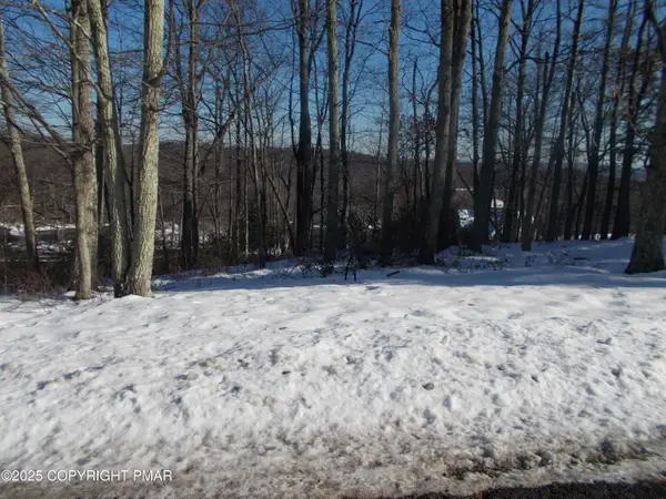 78 High Mountain Lane, Tannersville, PA 18372