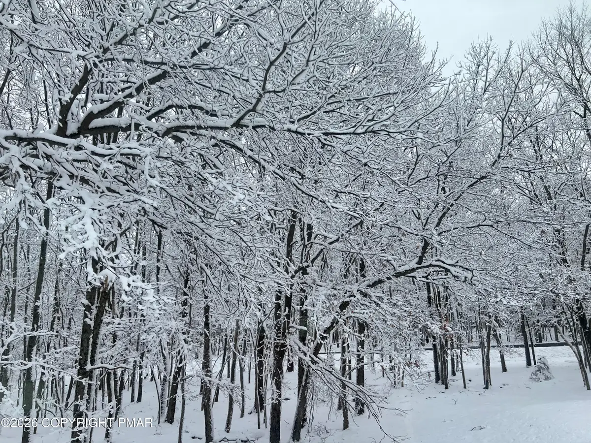 407 Pine Tree, Albrightsville, PA 18210 - Image #1