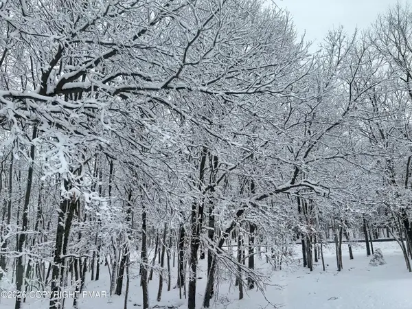 407 Pine Tree, Albrightsville, PA 18210