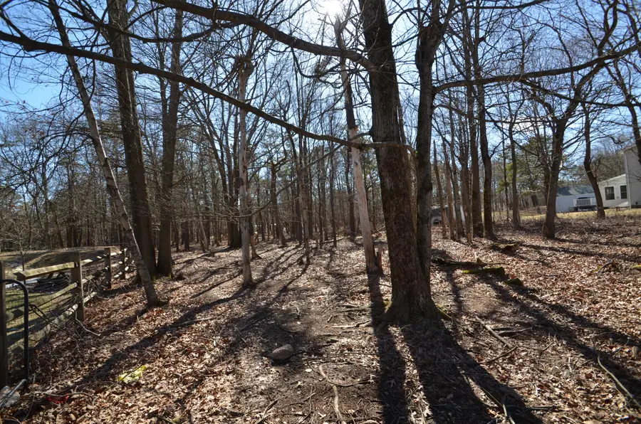 Stony Mountain Road, Albrightsville, PA 18210 - Image #2